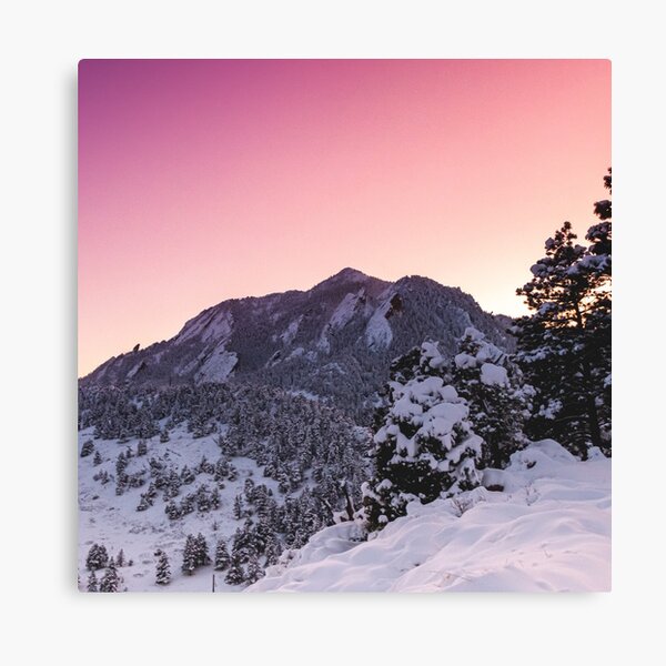 Winter wonderland Canvas Print