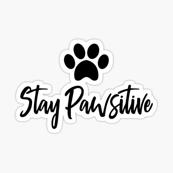 Stay Pawsitive Positive Pet Cat Dog Owner Sticker