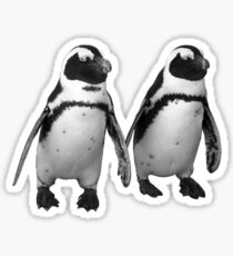 Penguins Sticker