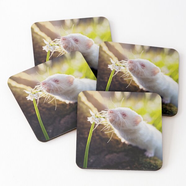 Item preview, White Albino Ferret Migaloo designed and sold by PurpleBluesPets.