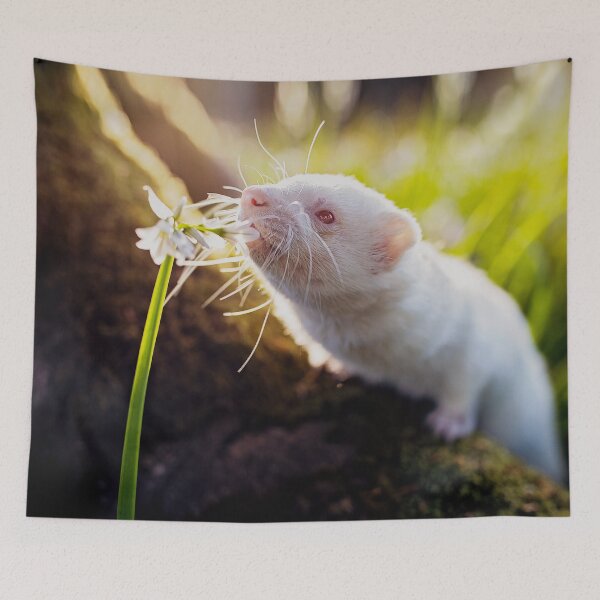 Item preview, White Albino Ferret Migaloo designed and sold by PurpleBluesPets.