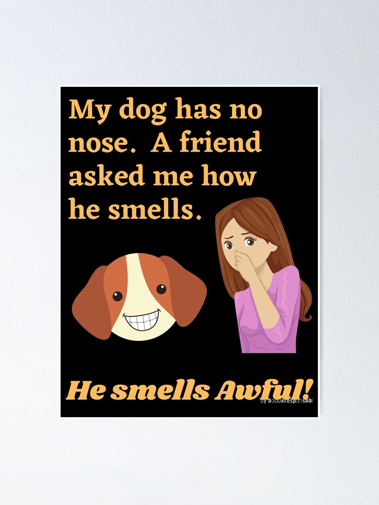 "Dumb Dad Jokes to roll your eyes at My dog has no nose. How does he