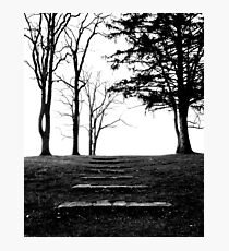 Skysteps Photographic Print