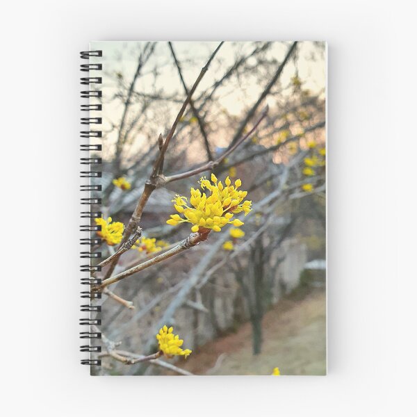 Item preview, Cornlian cherry dogwood designed and sold by JenChoi.