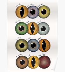 The Witcher: A Study of Eyes Poster