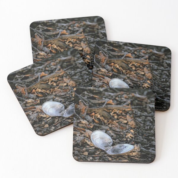 Item preview, Clamshell  designed and sold by EmmasPhotos.