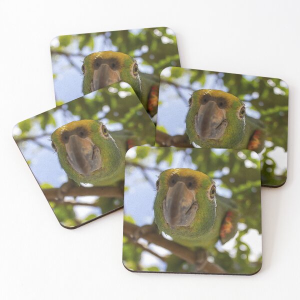 Item preview, beautiful green parrot designed and sold by ricobarinas.