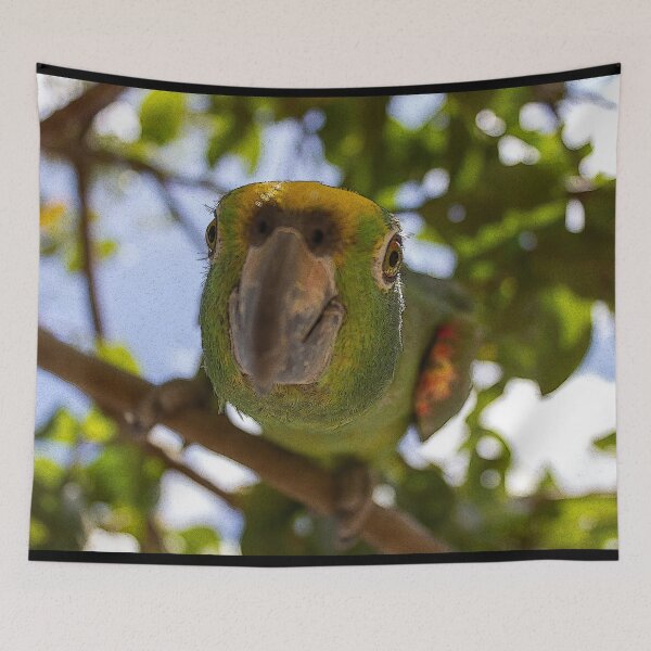 Item preview, beautiful green parrot designed and sold by ricobarinas.
