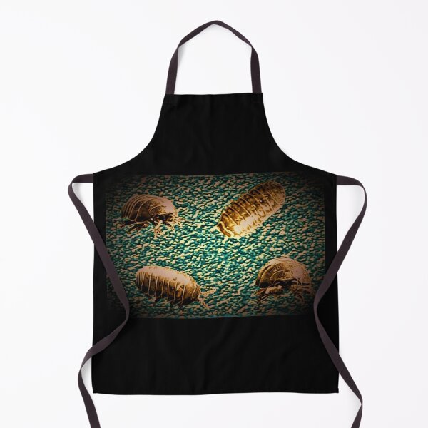 Item preview, Roly Polies designed and sold by craftsbydaphy.