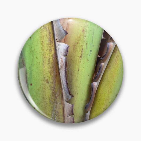Item preview, Base Stem of Palm Plant designed and sold by Sinemathk.