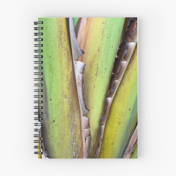 Item preview, Base Stem of Palm Plant designed and sold by Sinemathk.