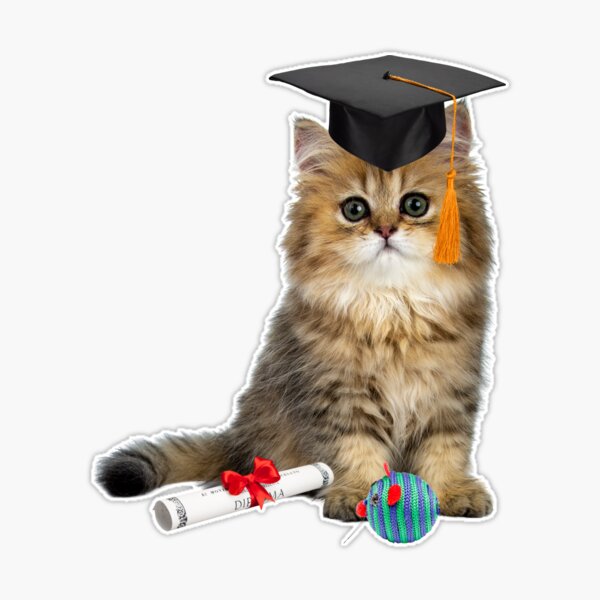 st,extra_large,507x507-pad,