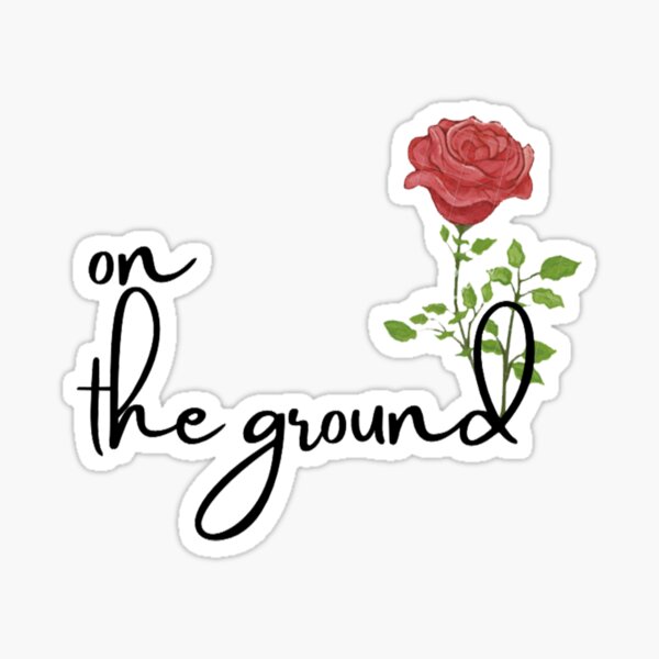 on the ground rose sticker by a little bit redbubble