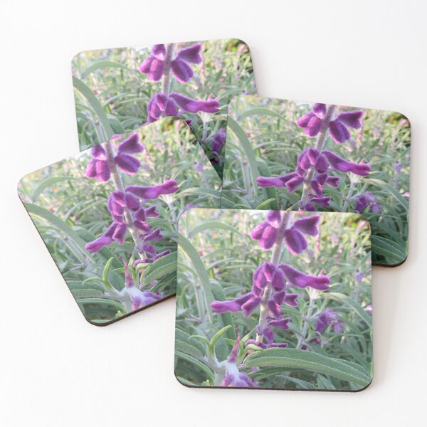 Item preview, Salvia leucantha designed and sold by greentiger1.