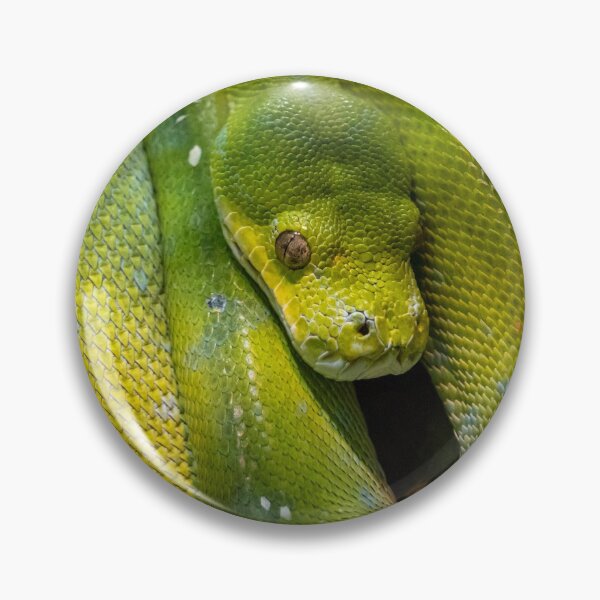Item preview, Green Tree Python, Australia designed and sold by Andrew Goodall.