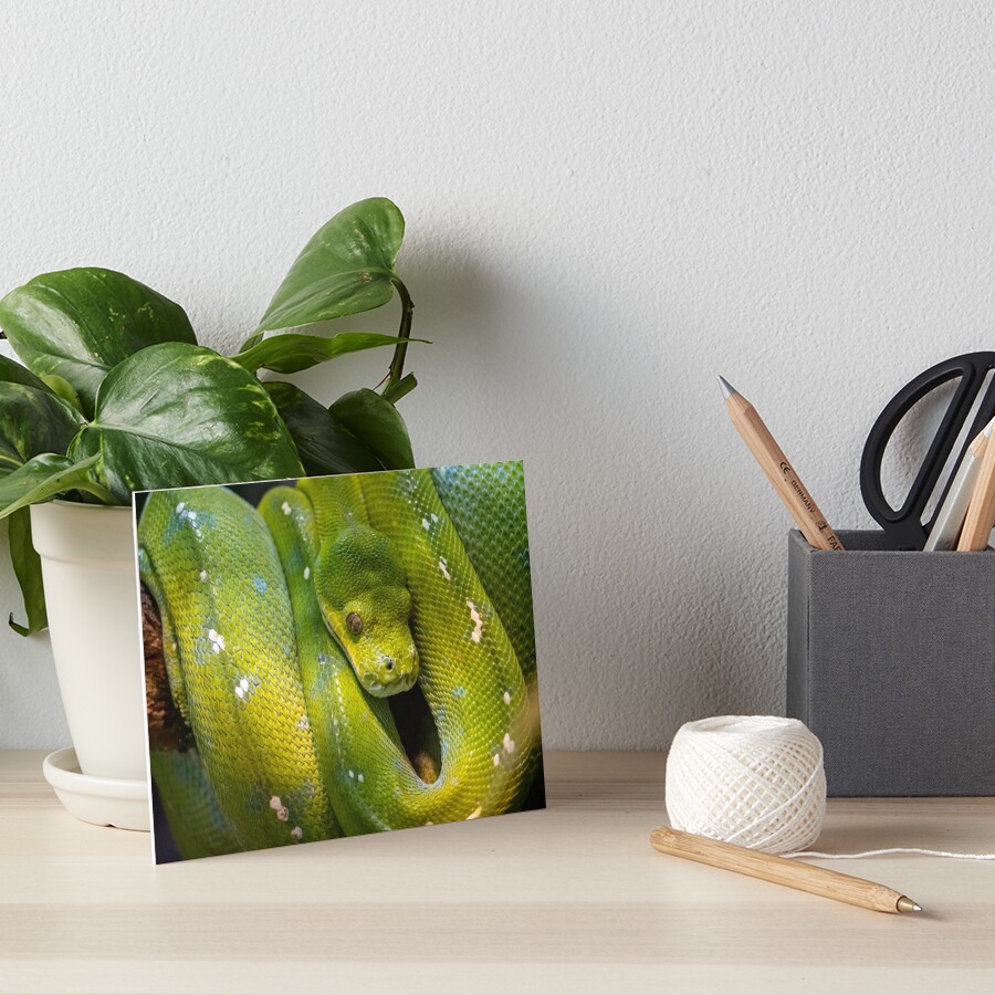 Item preview, Art Board Print designed and sold by AndrewGoodall.