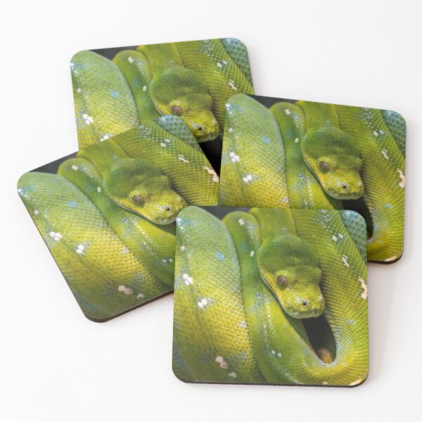 Item preview, Green Tree Python, Australia designed and sold by Andrew Goodall.
