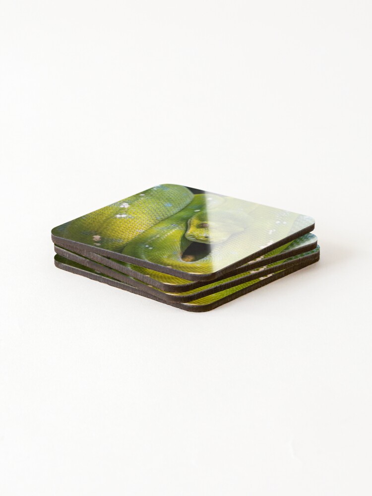 Thumbnail 4 of 5, Coasters (Set of 4), Green Tree Python, Australia designed and sold by AndrewGoodall.
