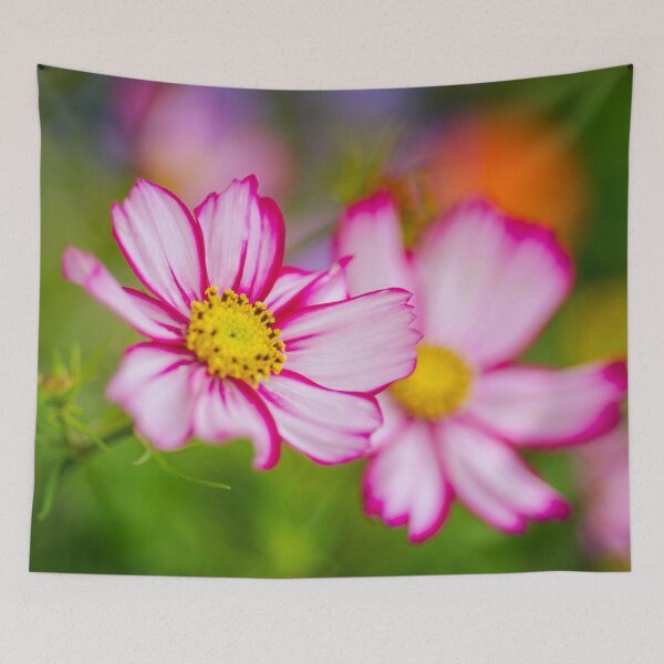 Aperçu de l'œuvre Deux asters roses créée et vendue par Efineart.