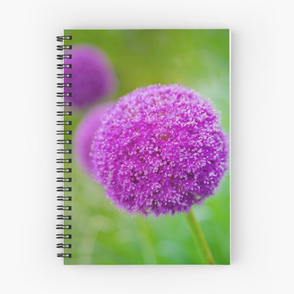 Item preview, Purple Giant Onion  designed and sold by Efineart.