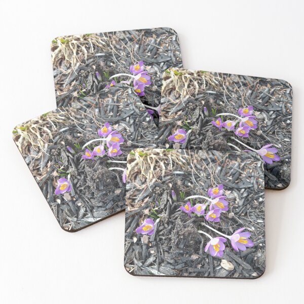 Item preview, Early Crocuses in mulch designed and sold by Mothe3rd.