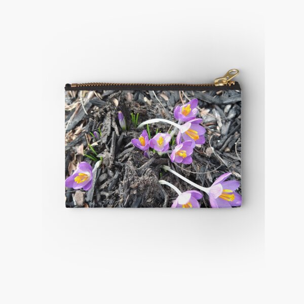 Item preview, Early Crocuses in mulch designed and sold by Mothe3rd.