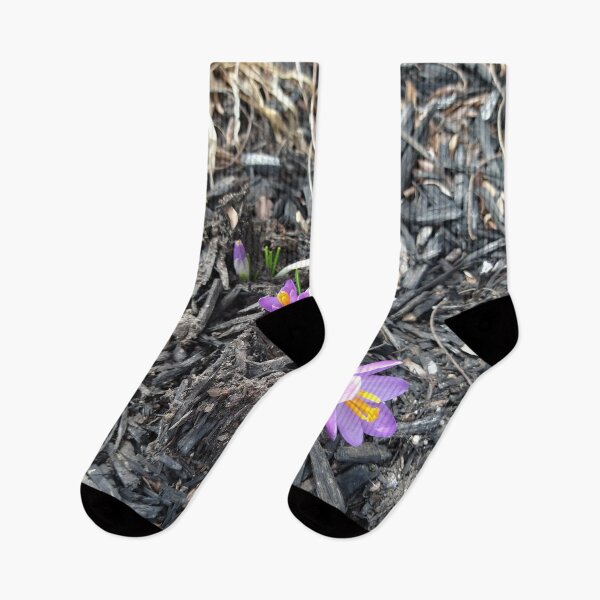 Item preview, Early Crocuses in mulch designed and sold by Mothe3rd.