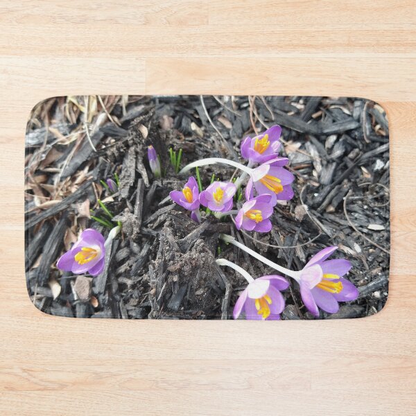 Item preview, Early Crocuses in mulch designed and sold by Mothe3rd.