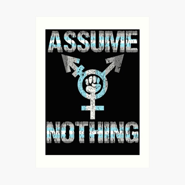 Assume Nothing Demiboy Flag Bigender Pride Art Print