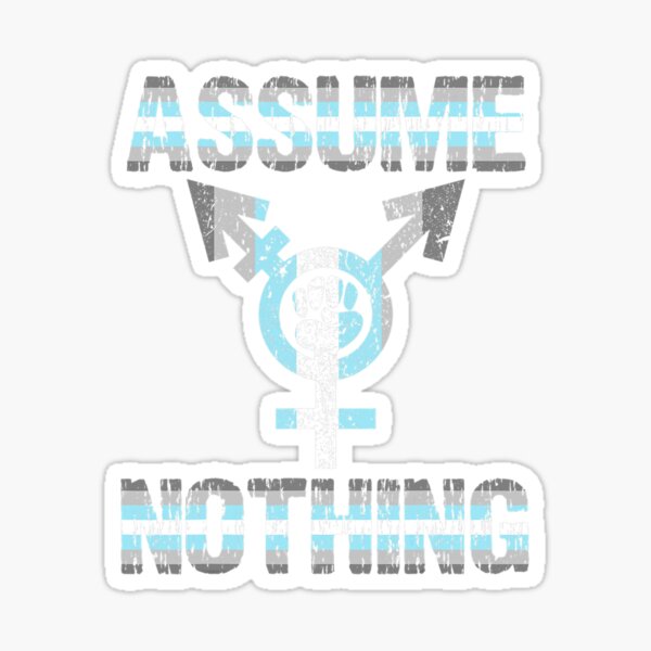 Assume Nothing Demiboy Flag Bigender Pride Sticker