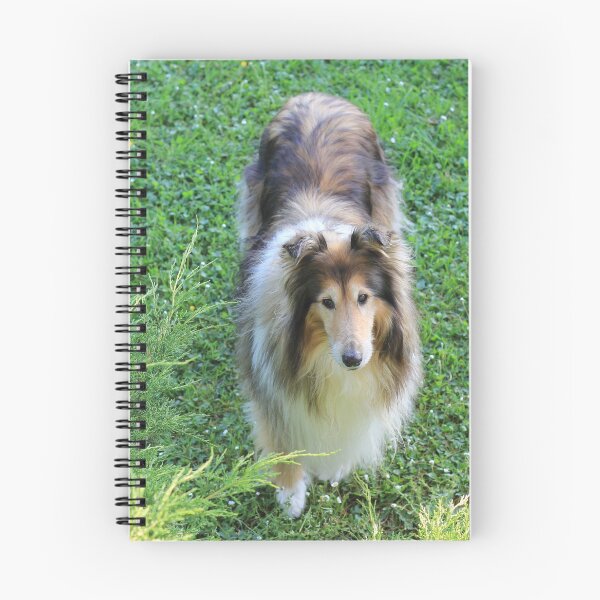 Item preview, Rough Collie From Above designed and sold by KarenWoodArt.