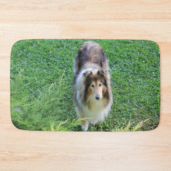 Item preview, Rough Collie From Above designed and sold by KarenWoodArt.