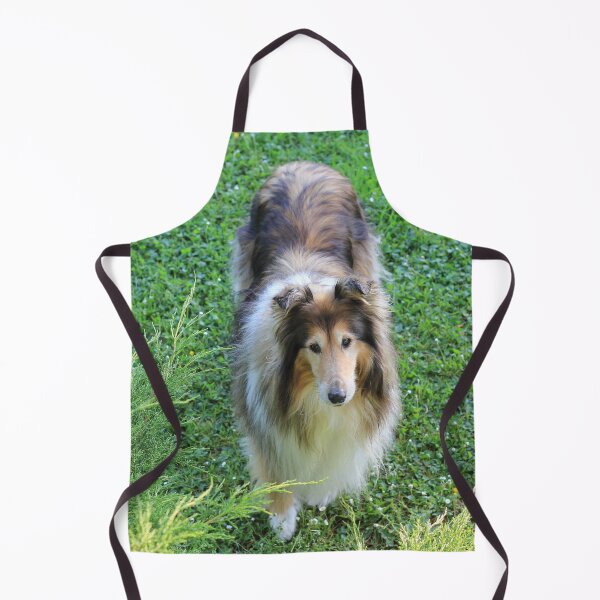 Item preview, Rough Collie From Above designed and sold by KarenWoodArt.