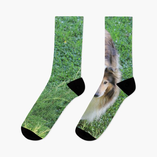 Item preview, Rough Collie From Above designed and sold by KarenWoodArt.