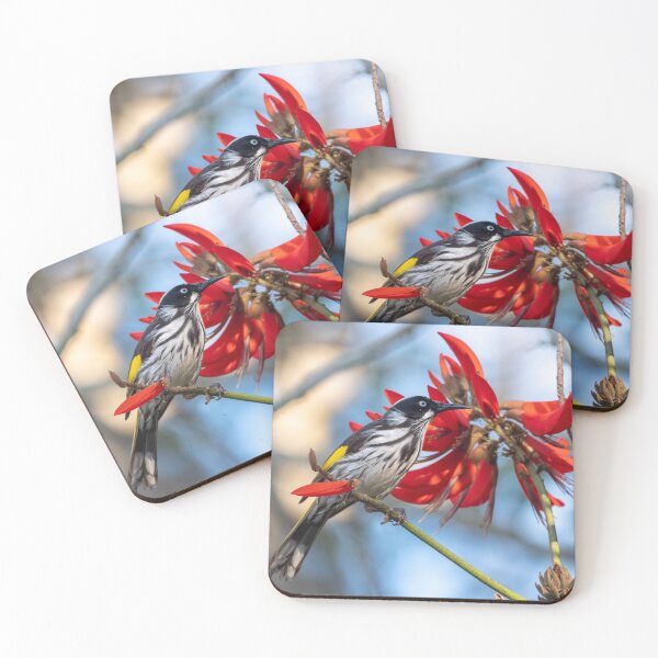 Item preview, New Holland Honeyeater, Maleny, Queensland designed and sold by Andrew Goodall.
