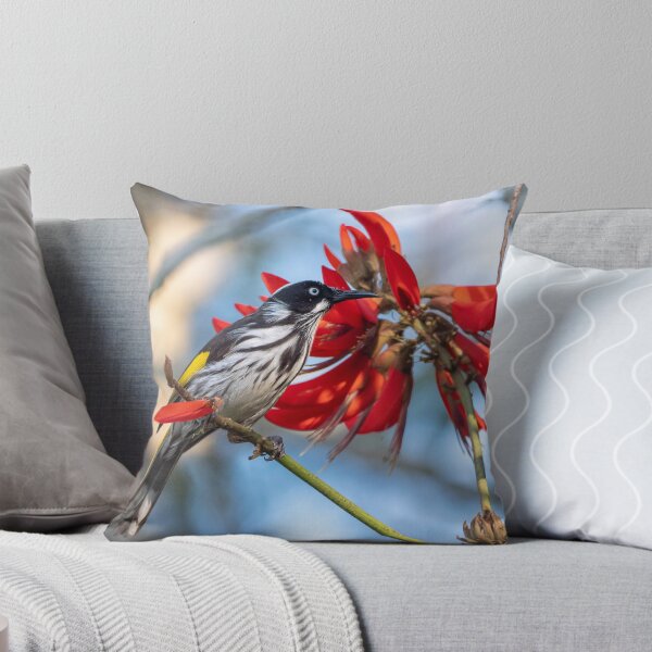Item preview, New Holland Honeyeater, Maleny, Queensland designed and sold by Andrew Goodall.
