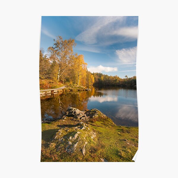 Tarn Hows Autumn Poster