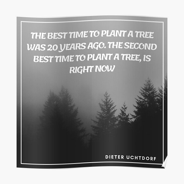 "The Best Time To Plant A Tree Was 20 Years Ago" Poster by moroccanart
