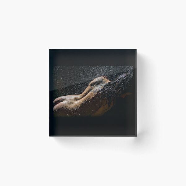 Item preview, Amber Jade Art Nude High Speed Water Shots 905 designed and sold by Tony Lin.