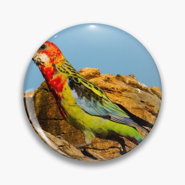 Artikelvorschau, Östliche Rosella entworfen und verkauft von John Kowalski.