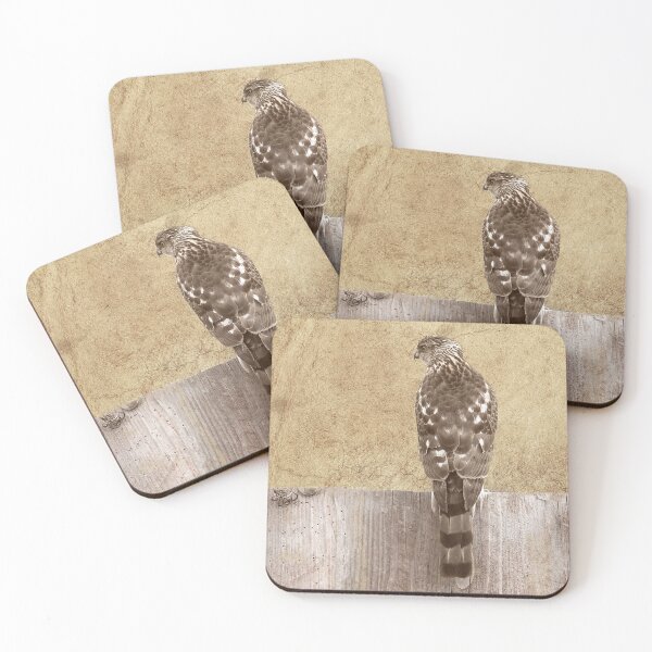 Item preview, Cooper's Hawk designed and sold by CarolM.