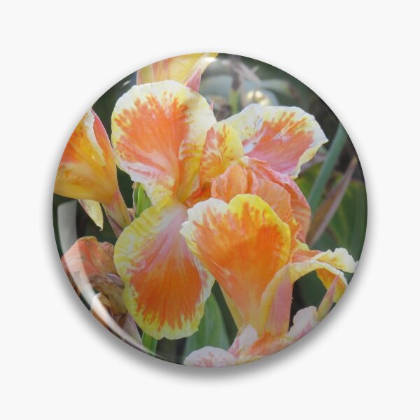Item preview, Orange and yellow canna lily designed and sold by greentiger1.
