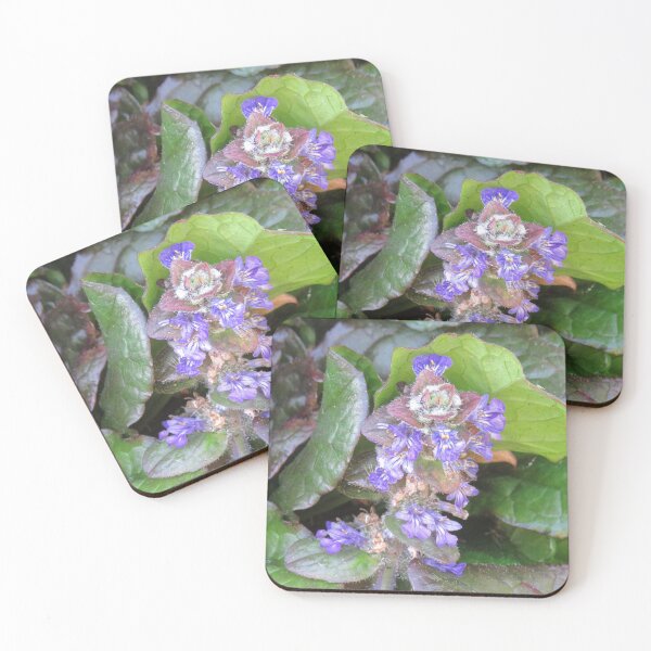 Item preview, Ajuga reptans flowers designed and sold by greentiger1.