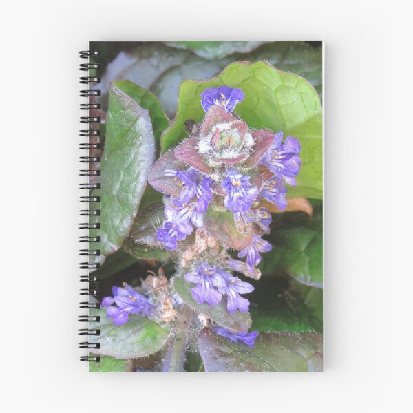 Item preview, Ajuga reptans flowers designed and sold by greentiger1.