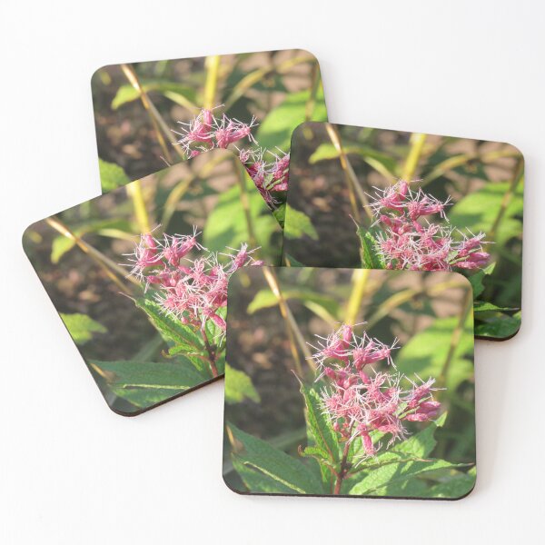 Item preview, Strange pink flowers designed and sold by greentiger1.