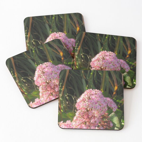 Item preview, Pink crassula flowers designed and sold by greentiger1.
