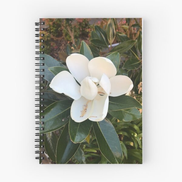 Item preview, Magnolia  designed and sold by YollieBeeArt.