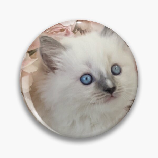 Item preview, Ragdoll kitten cherry blossom designed and sold by Fluffycat2020.