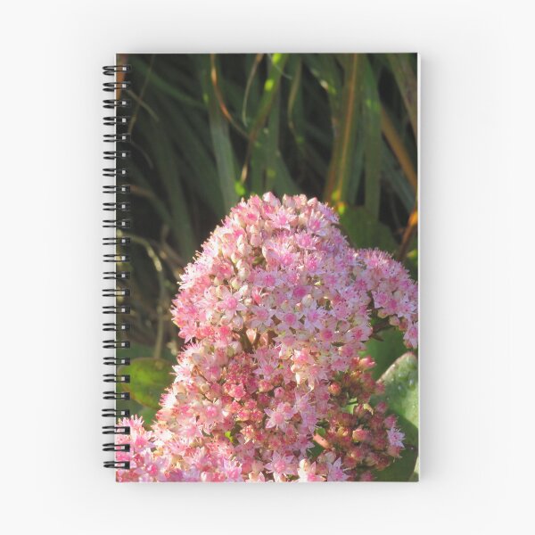 Item preview, Pink crassula flowers designed and sold by greentiger1.