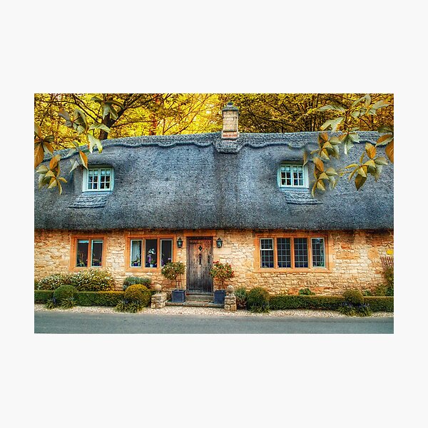 Item preview, Woodland Cottage  designed and sold by Alisonchambers2.